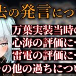 過去の評価や今でも叩かれることについて言及するねるめろ【ねるめろ切り抜き】