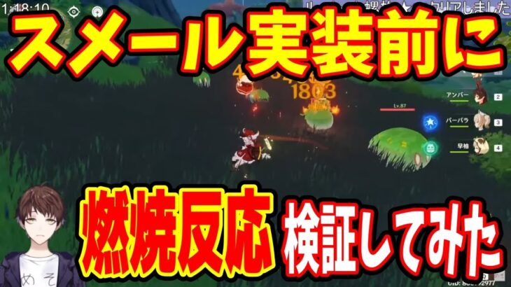 【原神】スメール実装前に草元素の燃焼反応を検証したらヤバかったｗｗｗ【モスラメソ/切り抜き】