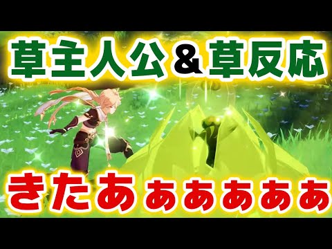 【原神】「草主人公」＆「草反応」が大公開！！ver3.0新要素が大量にきたあああああ！！！！【げんしん】