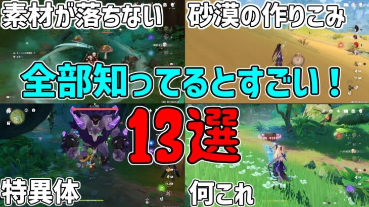 【原神】知ってるべき？豆知識13選！スメール編！【攻略解説】3.0スメール,激化,開花,探索,ショートカット,アランナラ,森林書