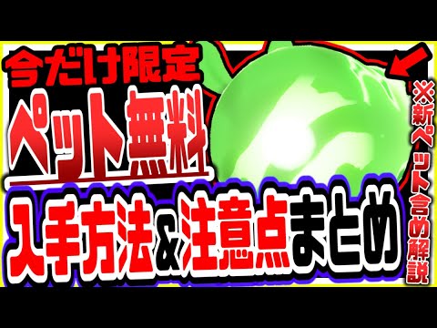 原神 今だけ限定逃すな！無料でペットを入手する方法と注意点まとめリークなし公式情報 原神げんしん