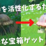 [原神]　枯れたキノコを活性化するだけで、豪華な宝箱ゲット！？　スメールの隠し宝箱　4選