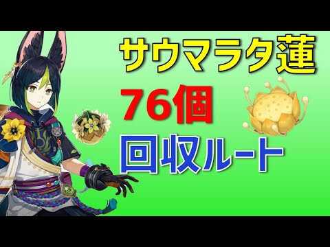 サウマラタ蓮「76個」回収ルート　ティナリの育成素材　世界任務　スメール　【ver3.0攻略】　原神　Genshin impact