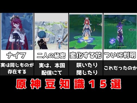 【原神】全部知ってる？原神の小ネタや細かい仕様や設定！豆知識！15選【攻略解説】ギミック,草元素,胡桃,ロサリア,考察,スメール3.1行秋考察