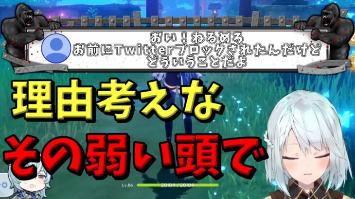 ブロックされるのには理由がある【原神切り抜き/ねるめろ/ゲーム解説/キャラ解説】